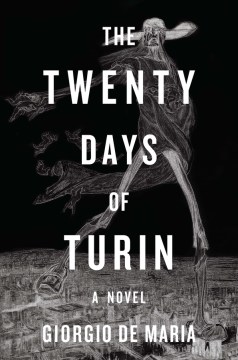 The twenty days of Turin book cover