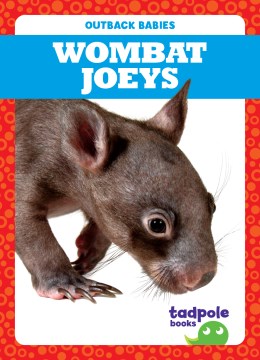 Catalog record for Wombat joeys