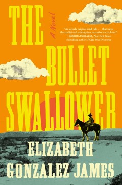 The bullet swallower : a novel book cover