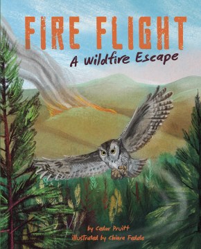Fire flight : a wildfire escape book cover