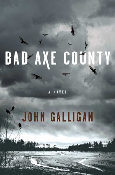 Bad Axe County : a novel