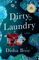 Dirty laundry : a novel