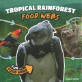 Tropical rainforest food webs