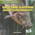 Electric catfish make electricity!