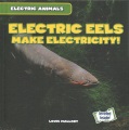 Electric eels make electricity!