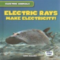 Electric rays make electricity!