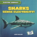 Sharks sense electricity!