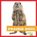 Prairie dogs