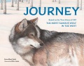 Journey : based on the true story of OR7, the most famous wolf in the West