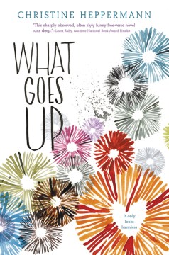What Goes Up, book cover