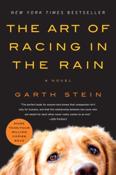 Art of Racing in the Rain – Garth Stein