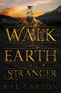見知らぬ人、地球上を歩く、本の表紙