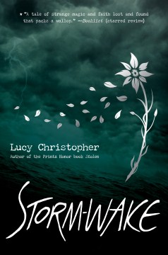 Storm Wake by Lucy Christopher