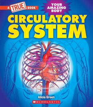 Circulatory System / Alicia Green