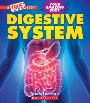 Digestive System / Priyanka Lamichhane