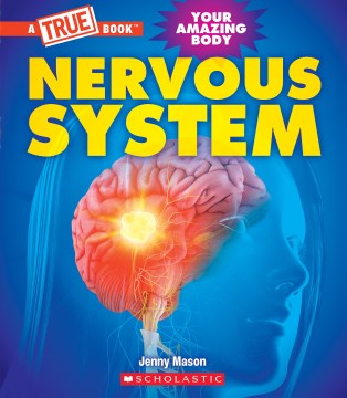 Nervous System / Jenny Mason