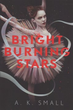 Bright Burning Stars, book cover