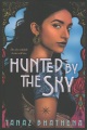Hunted by the Sky, book cover