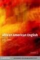 African American English A Linguistic Introduction, book cover