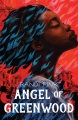 格林伍德的天使，书的封面