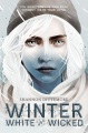 冬天，白色和邪恶，书的封面