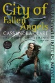 City of Fallen Angels, book cover