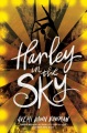 天空中的哈雷，书的封面