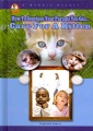 Care for a Kitten, book cover
