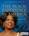 从公民权利到现在的美国黑人经验，书籍封面