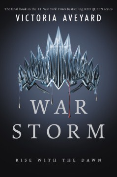 战争Storm书的封面