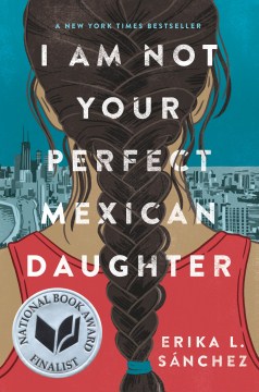 我不是你完美的墨西哥女儿书的封面