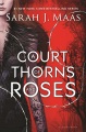 荆棘与玫瑰法院的书封面