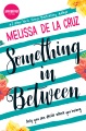 Something in Between, book cover