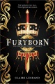 Furyborn书的封面