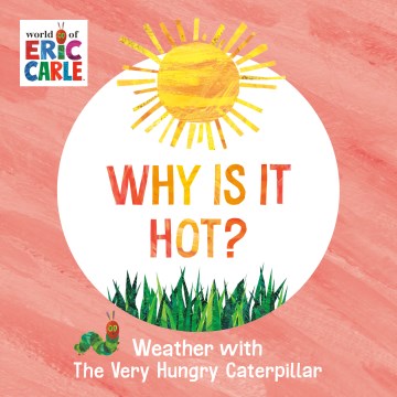 Book Cover for Why is it hot? :