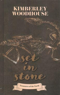 Book Cover for Set in stone