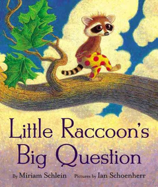 Little Raccoon\