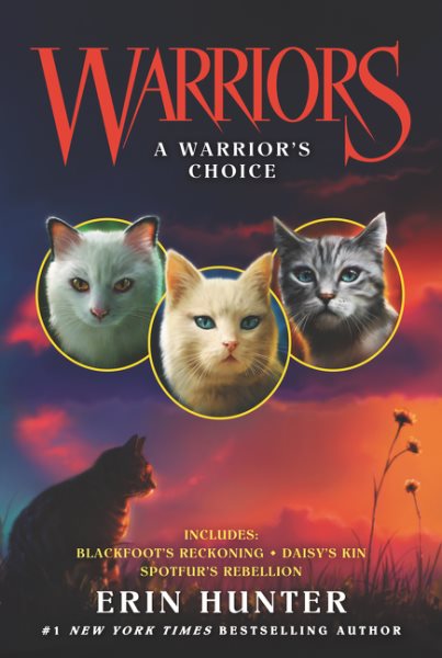 Warriors: A Warrior`s Choice