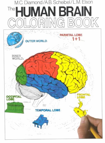 The Human Brain Coloring Book