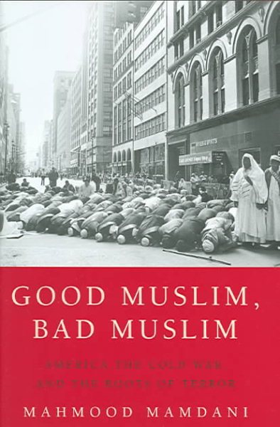 Good Muslim, Bad Muslim