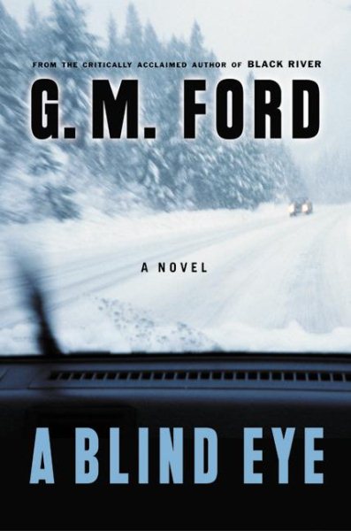 A Blind Eye: A Novel