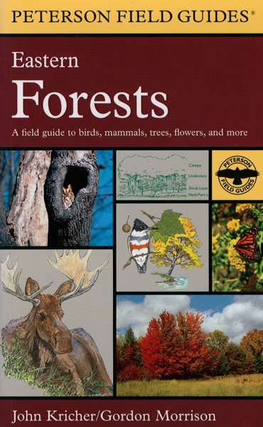 A Field Guide to Eastern Forests: North America