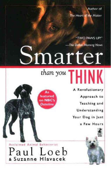 Smarter Than You Think: A Revolutionary Approach to Teaching and Understanding Y