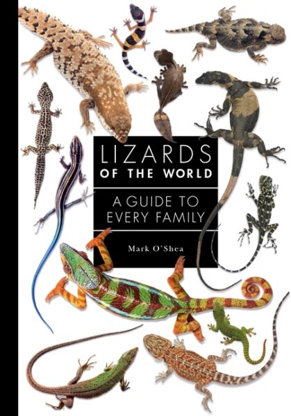 Lizards of the World【金石堂、博客來熱銷】