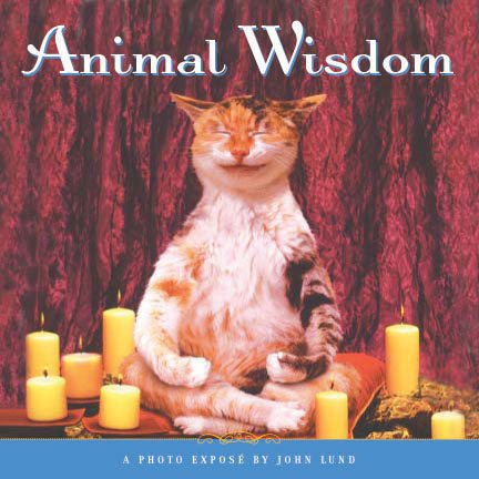 Animal Wisdom: More Animal Antics from John Lund