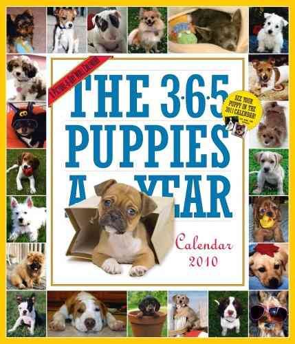 The 365 Puppies a Year 2010 Calendar