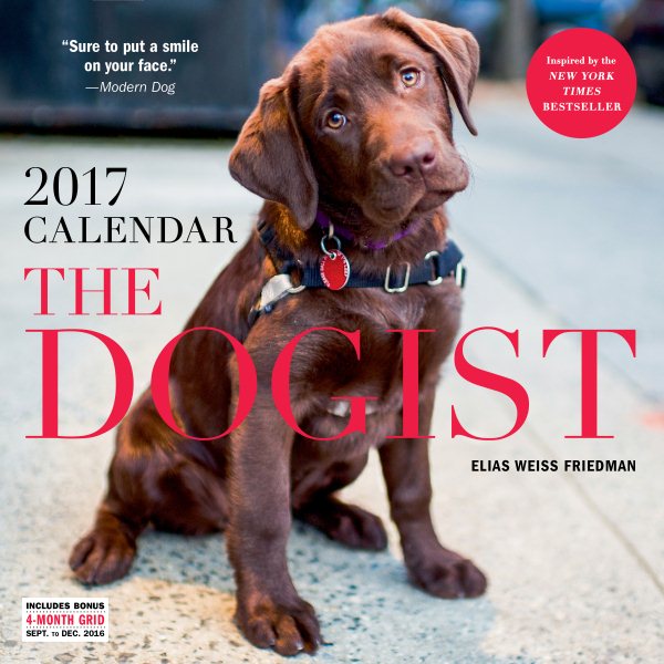 The Dogist 2017 Calendar(Wall)