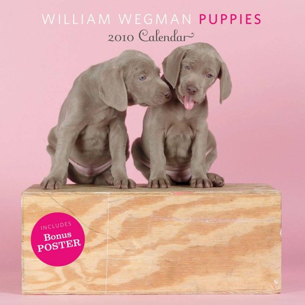 William Wegman Puppies 2010 Calendar