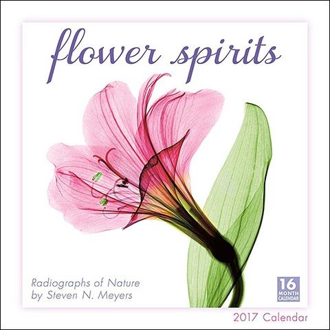 Flower Spirits 2017 Calendar(Wall)