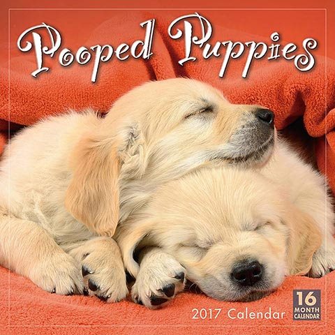 Pooped Puppies 2017 Calendar(Wall)